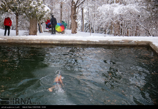 شنا در دمای زیر صفر درجه