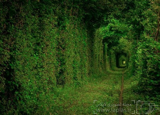 عکس: تونل رویایی عشق!