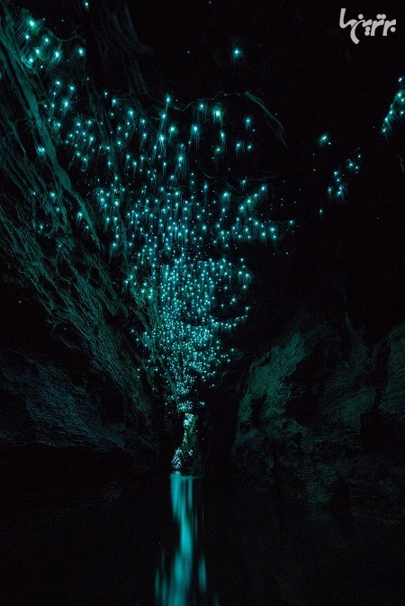شب پرستاره در غارهای نیوزیلند!