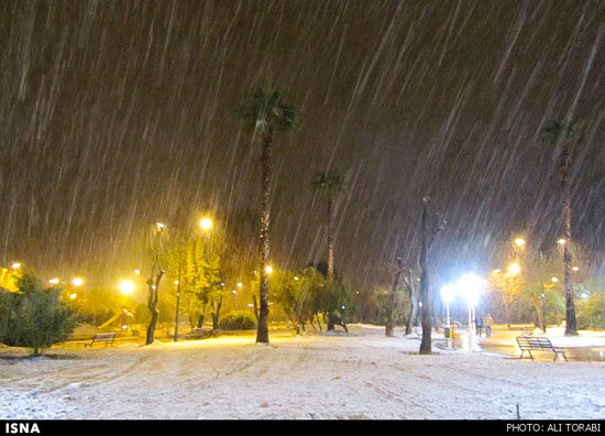بارش برف در جهرم پس از 18 سال +عکس