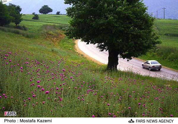 عکس؛ طبیعت زیبا و چشم نواز مازندران