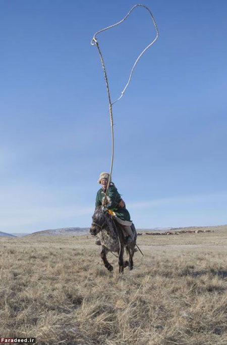 کابوی های مغولی +عکس