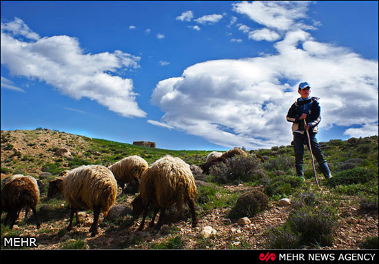 عکس: طبیعت بهشتی روستای «شاه کوه»