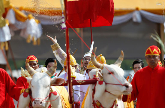 عکس: مراسم سلطنتی کاشت در تایلند