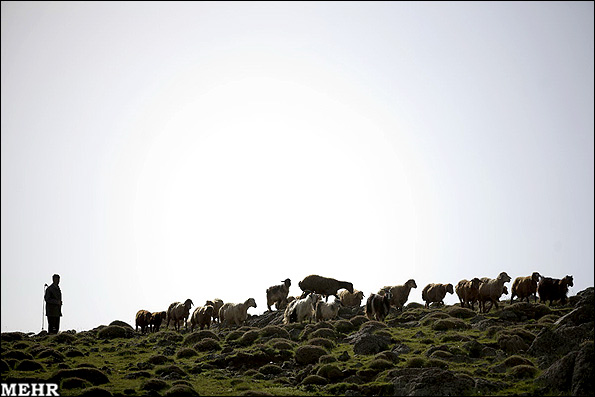 گزارش تصویری: روستای زیبایی در تالش