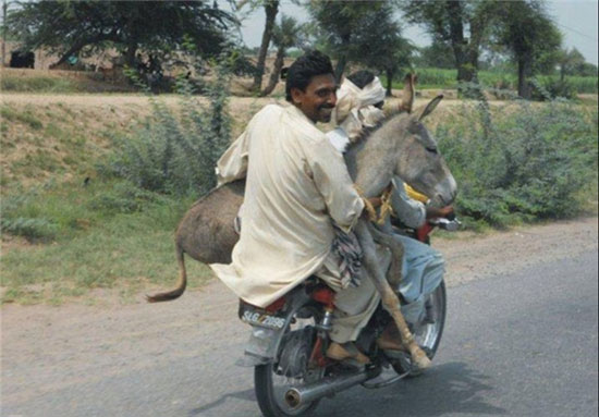 تصاویری جالب از حمل و نقل افغانستانی ها!