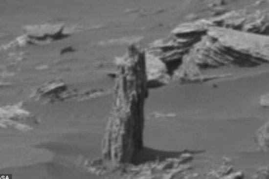 انتشار تصاویری دیدنی از رصد تنه درخت در مریخ