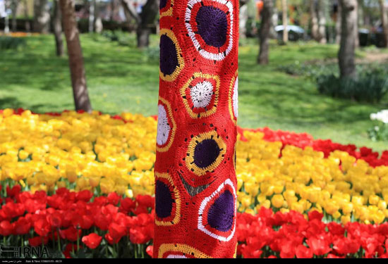 جشنواره گل‌های پیازی در بوستان ملت مشهد