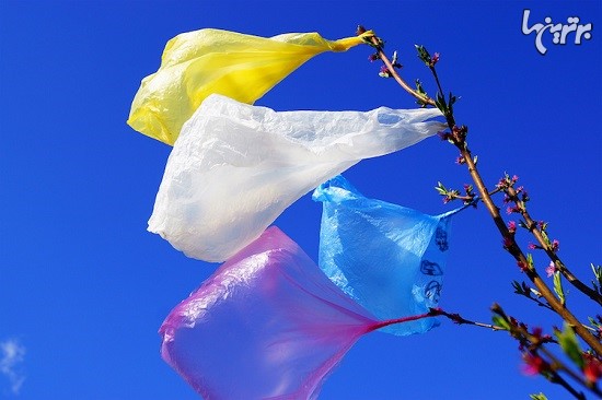 نخستین ایالتی که رسما کیسه‌های پلاستیکی را ممنوع کرد