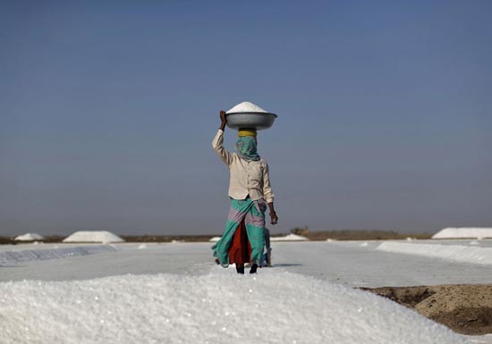 تصاویر جالب از نمکستان هندی!