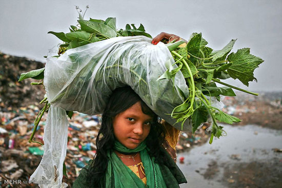 عکس: زباله جمع کن ها در بنگلادش