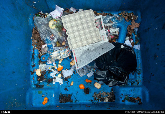 عکس: آت و آشغال