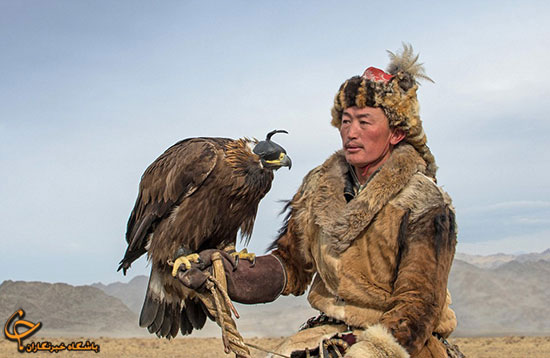 عکس: مراسم شکار عقاب طلایی