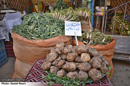 خرید و فروش گیاهان کوهی در ارومیه +عکس