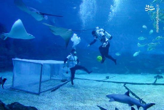 شور فوتبالی غواصان در زیر آب