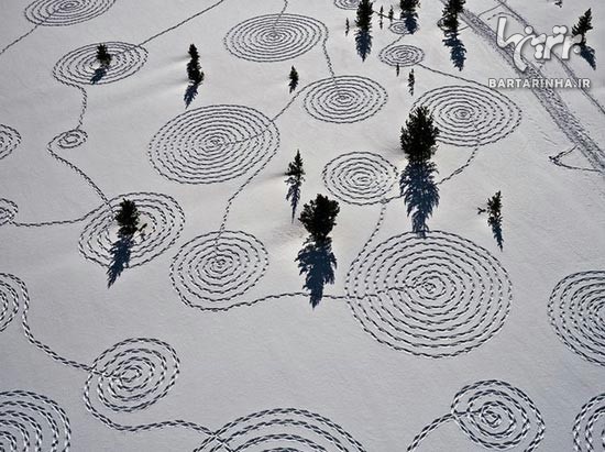هنرنمایی زیبا با قدم زدن روی برف!/ عکس