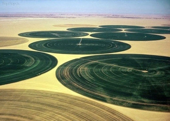 مزارع دایره‌ای حیرت‌انگیز در مغرب +عکس