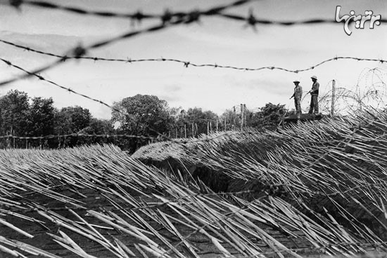 تصاویری دیده نشده از جنگ ویتنام