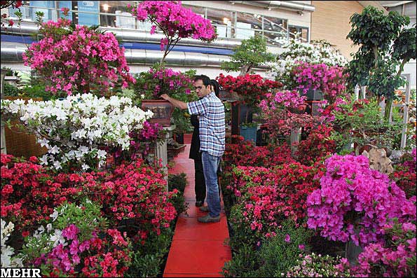 مجموعه عکس: نمایشگاه گل و گیاه تهران 2