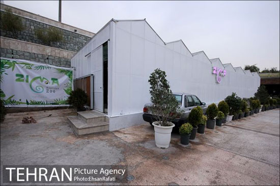 خانه خزندگان تهران +عکس