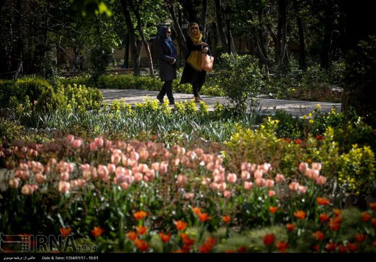 عکس: بوستان زیبای «باغ ایرانی»