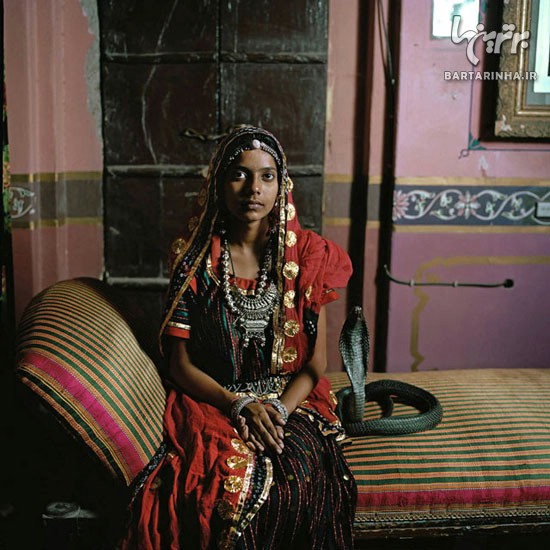 ازدواج دختر هندی با مار کبری! /عکس