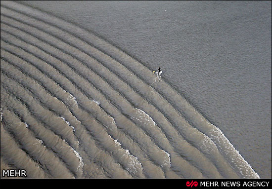 عکس: موج های شگفت انگیز در آلاسکا