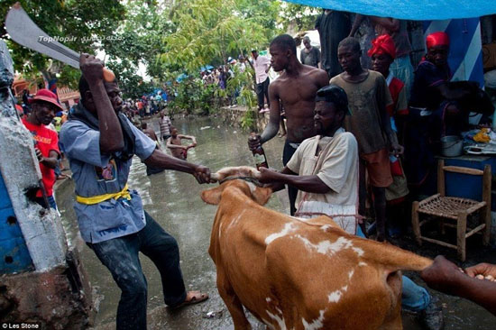 رسوم عجیب و غریبِ افسون در هائیتی