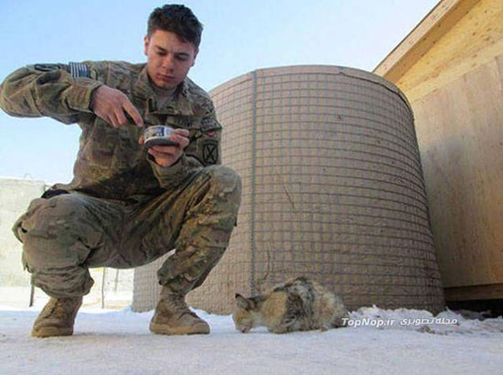 وقت گذرانی سربازان با حیوانات دست آموز