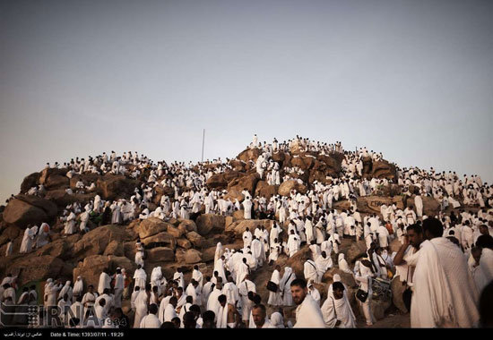 عکس: حجاج در صحرای عرفات