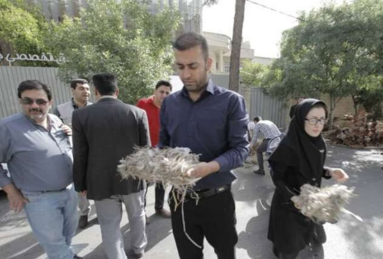 گزارشی از یک اتفاق زیست محیطی در شیراز