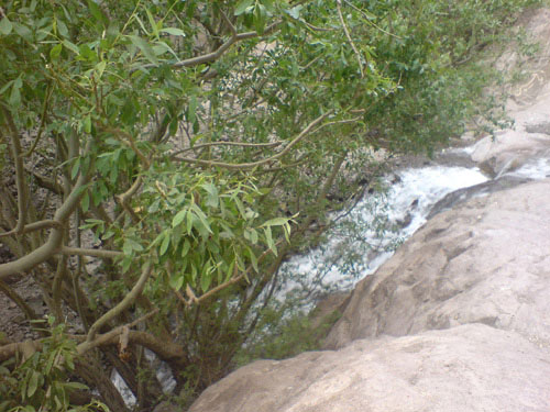 طبیعت زیبای آبشار راین