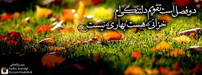 مینی شعر (69)