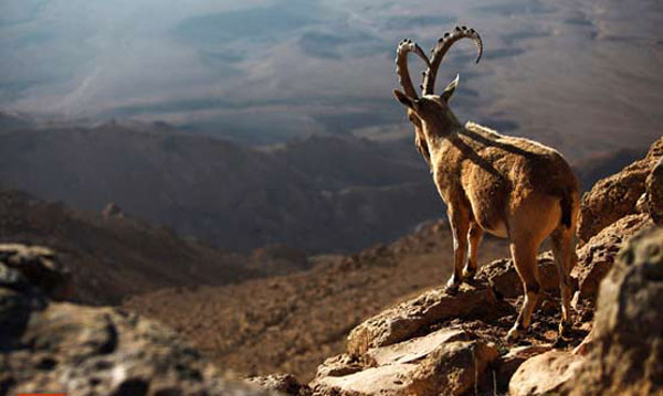 تصاویر جالب به مناسبت روز جهانی زمين پاک