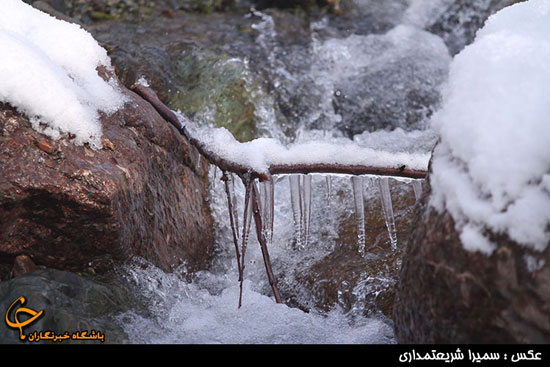عکس: بارش برف پاییزی در شمیرانات