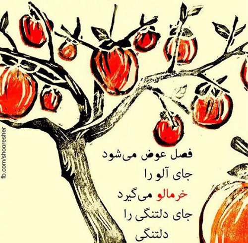 مینی شعر (163)