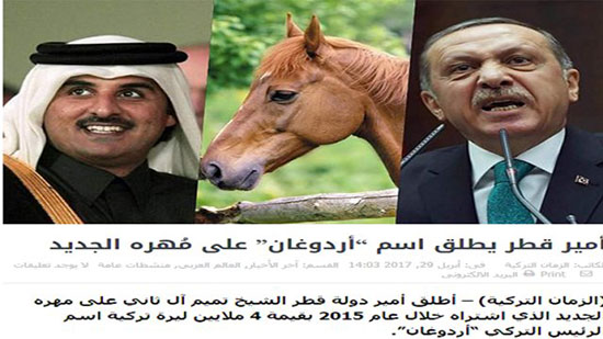 امیر قطر، نام اسب خود را «اردوغان» گذاشت