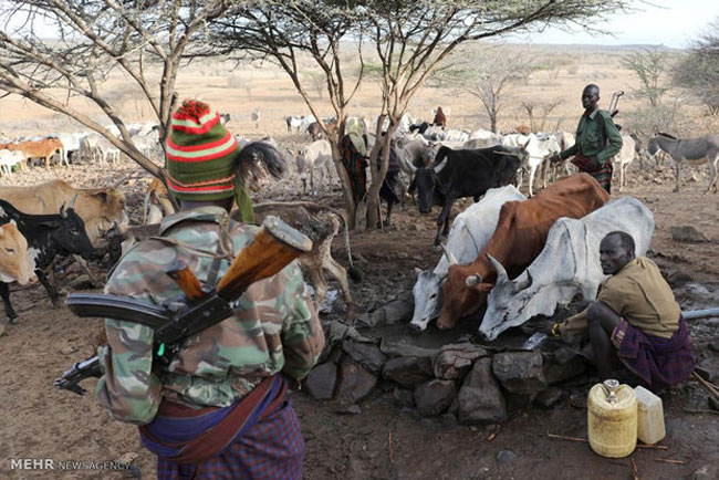جدال برای یافتن چراگاه در کنیا‎
