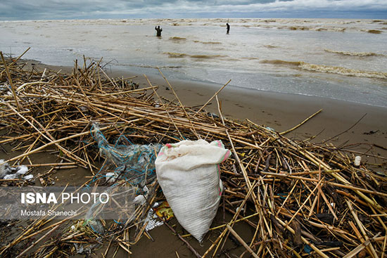 زباله، بلای جان سواحل دریای خزر
