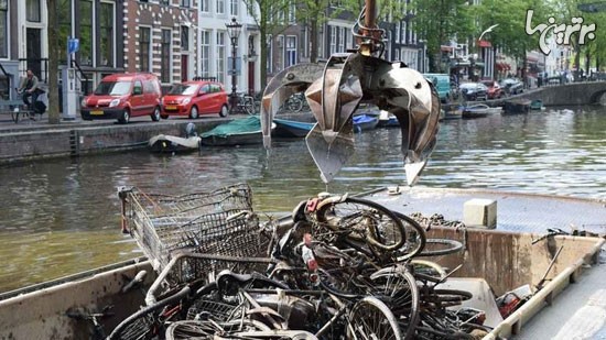 صید دوچرخه در کانال آب های آمستردام!