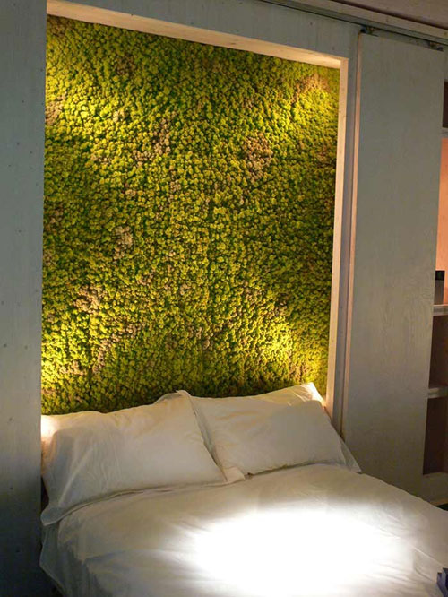 طرح جالب دیوارهای گیاهی +عکس