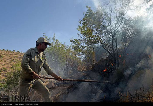 عکس: آتش سوزی در پاسارگاد شیراز