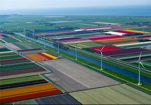 تصاویری از مزارع رنگین کمان