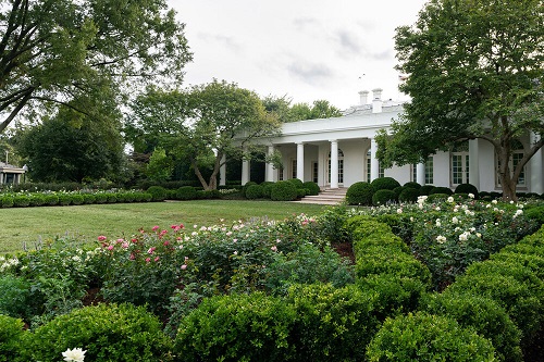 ملانیا از باغ گل رزِ کاخ سفید رونمایی کرد