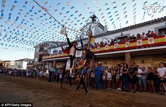جشنواره باستانی کندن سر غاز سوار بر اسب در اسپانیا