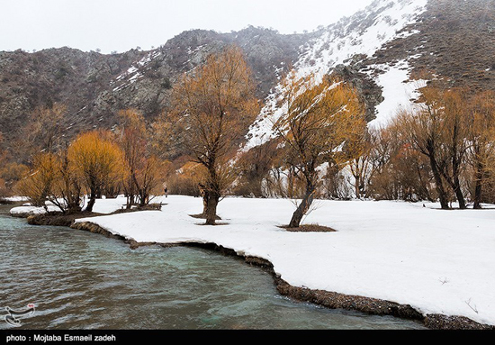 طبیعت زیبای زمستان در ارومیه