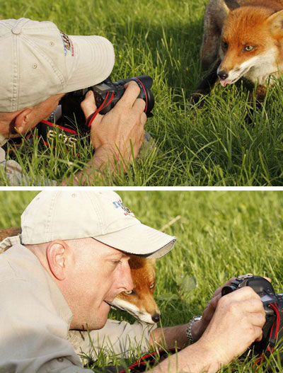 تصاویری ار همراهی حیوانات با عکاسان