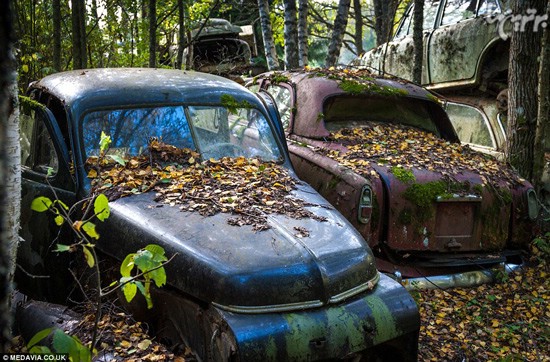 قبرستان خودروهای کلاسیک در سوئد +عکس