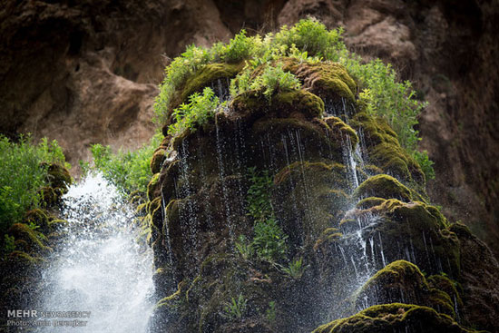 تصاویری از پاکسازی طبیعت آبشار مارگون