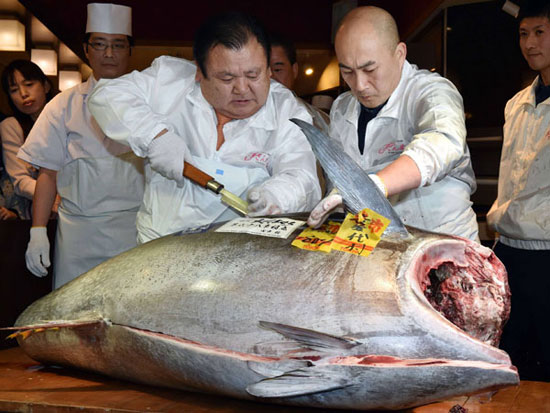 فروش گرانترین ماهی تن دنیا در ژاپن +عکس